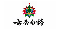 雲南(nán)白(bái)藥集團藥業(yè)有(yǒu)限公司
